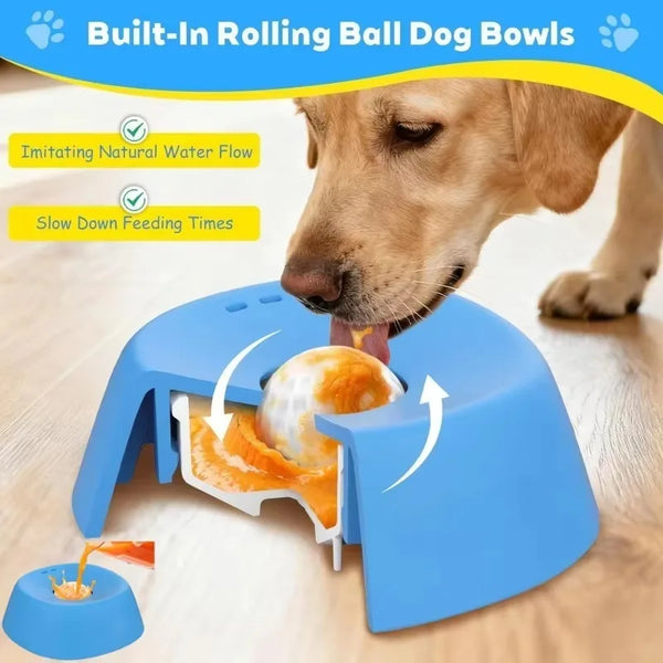 A dog is using a blue slow feeding bowl designed to mimic natural water flow and slow down feeding times.