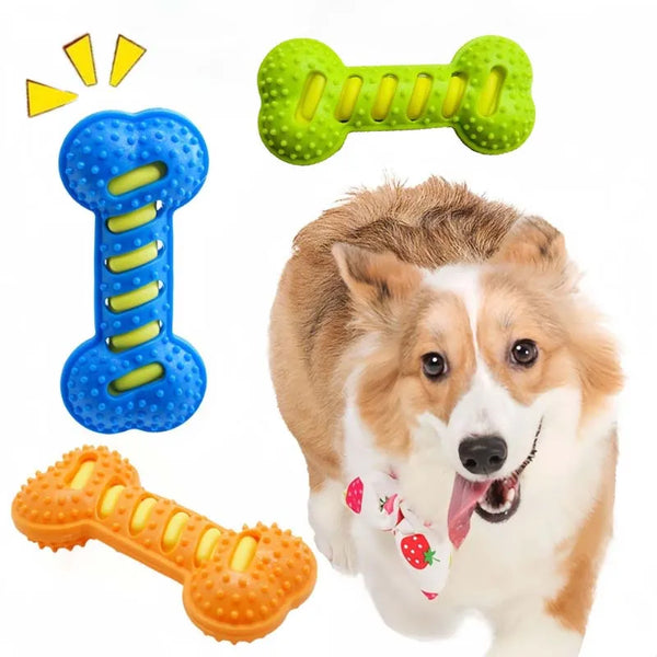 Jouet à mâcher en forme d'os pour chien, durable et qui grince