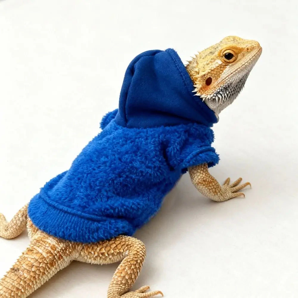 A bearded dragon costume featuring a blue hooded shirt and tan body.