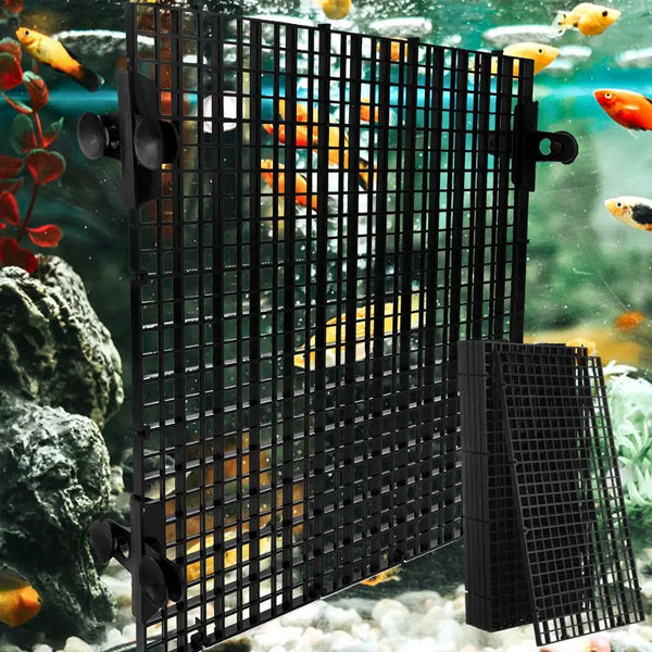 Black modular aquarium divider panel set with suction cups used to separate fish tanks.