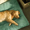 Winter Warm Corduroy Dog Bed - Detachable Washable Mat