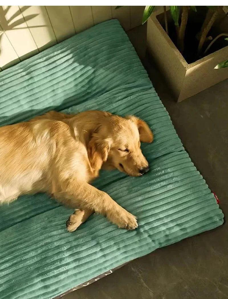 Ein golden Retriever liegt auf einem türkisfarbenen Samt-Hundbett drinnen.