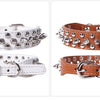 Punk Rivet Spiked Leather Dog Collar