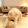 Interactive Sisal Cat Scratching Ball