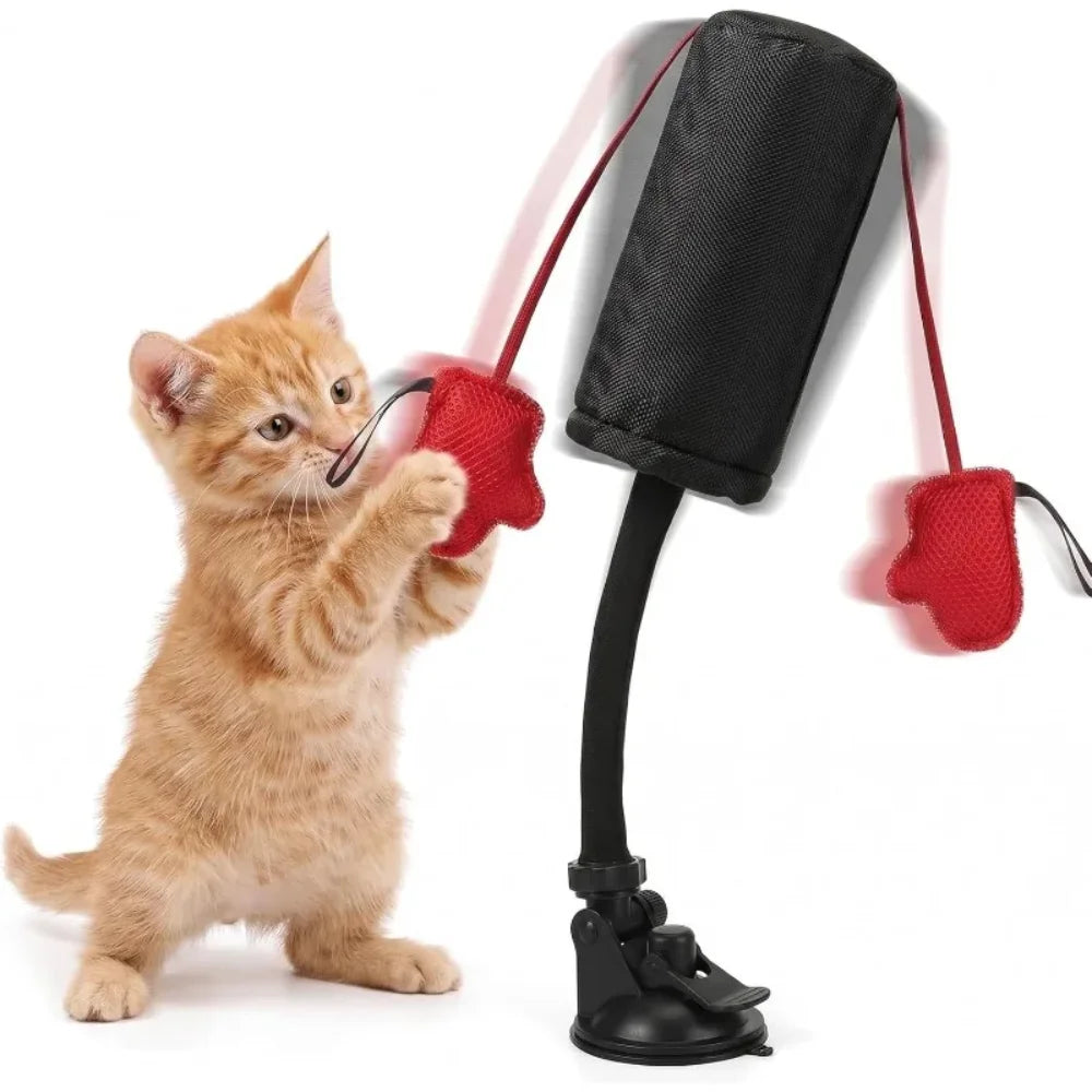 A small orange kitten is batting at a black boxing bag with red gloves and a spring base.