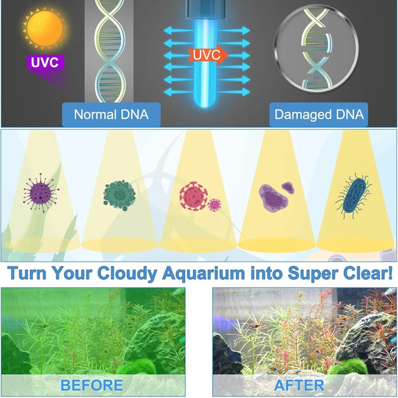 Filtre Submersible 5-en-1 pour Aquarium avec Stérilisateur UV
