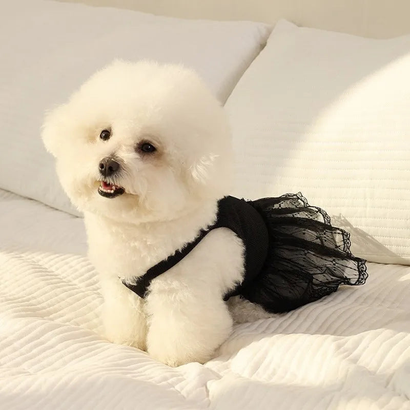 Vestido de Algodón a Rayas para Perro