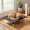 A tan dog is resting on a black elevated mesh pet bed indoors next to a window.