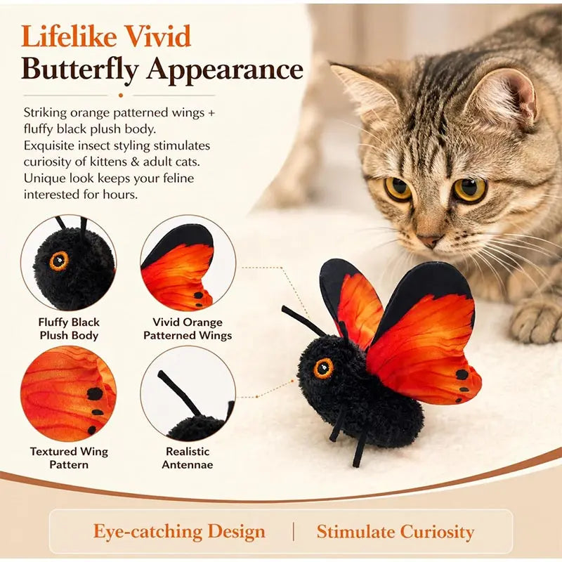 A kitten looks at a realistic orange and black butterfly-shaped toy designed to stimulate curiosity.