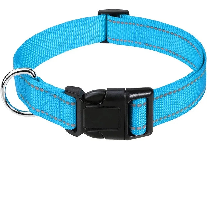 Decorative Nylon Dog Collar with Buckle Closure