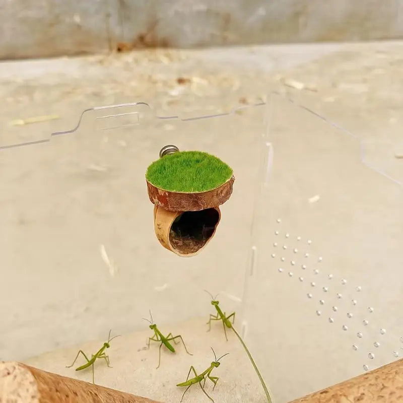 Magnetic Spider Hide Cave for Jumping Spider Enclosures
