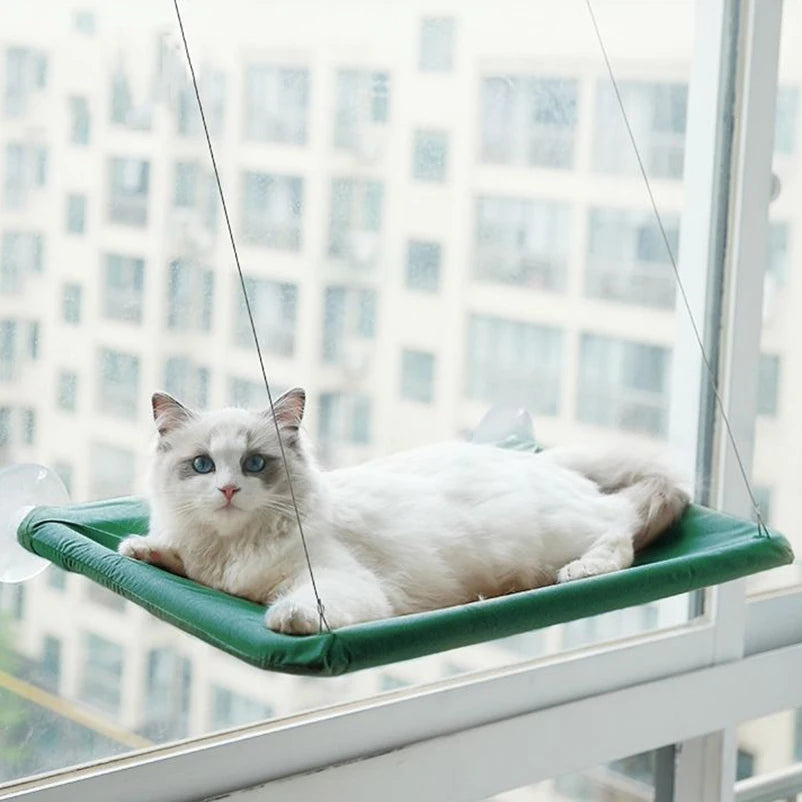 Un chat blanc se détend dans un lit-hamac vert fixé à la fenêtre, vue à travers une grande vitre.