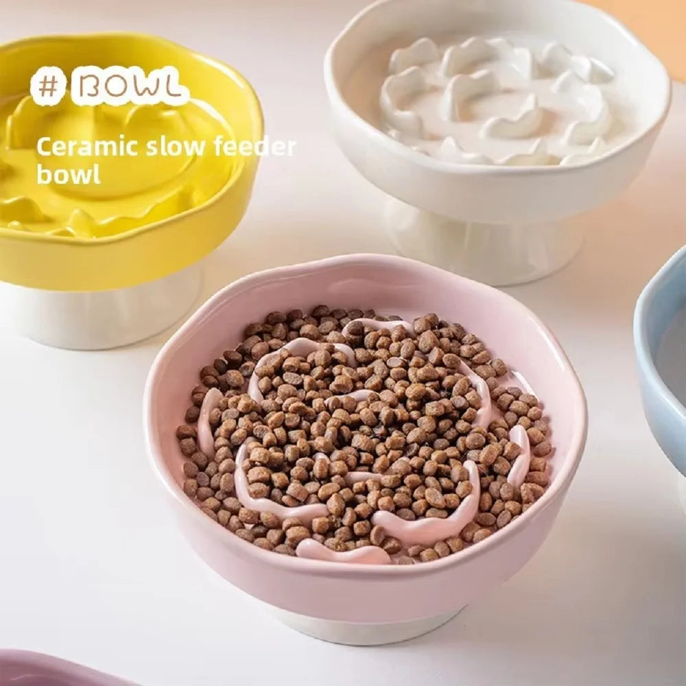 Ceramic Elevated Cat Bowl with Slow Feeder Design