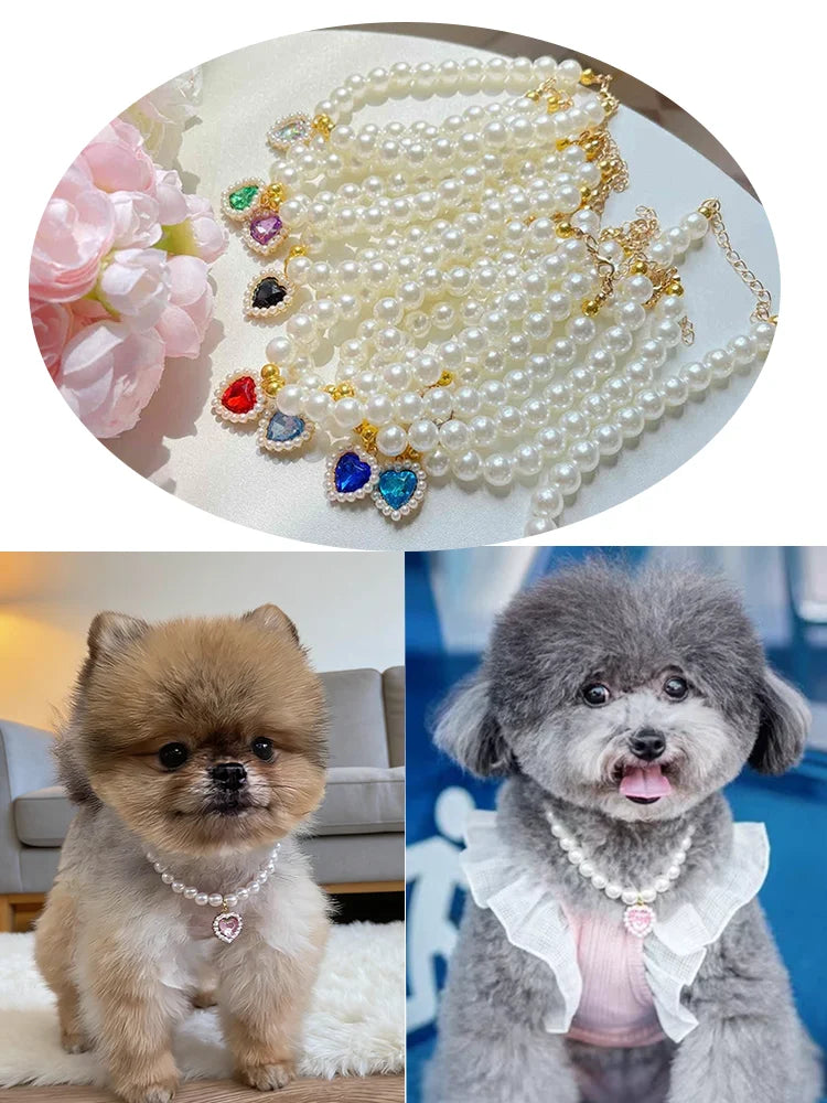 A faux pearl pet necklace featuring a heart pendant worn by a small, fluffy dog.