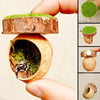 Magnetic Spider Hide Cave for Jumping Spider Enclosures