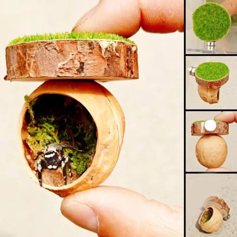 Magnetic Spider Hide Cave for Jumping Spider Enclosures