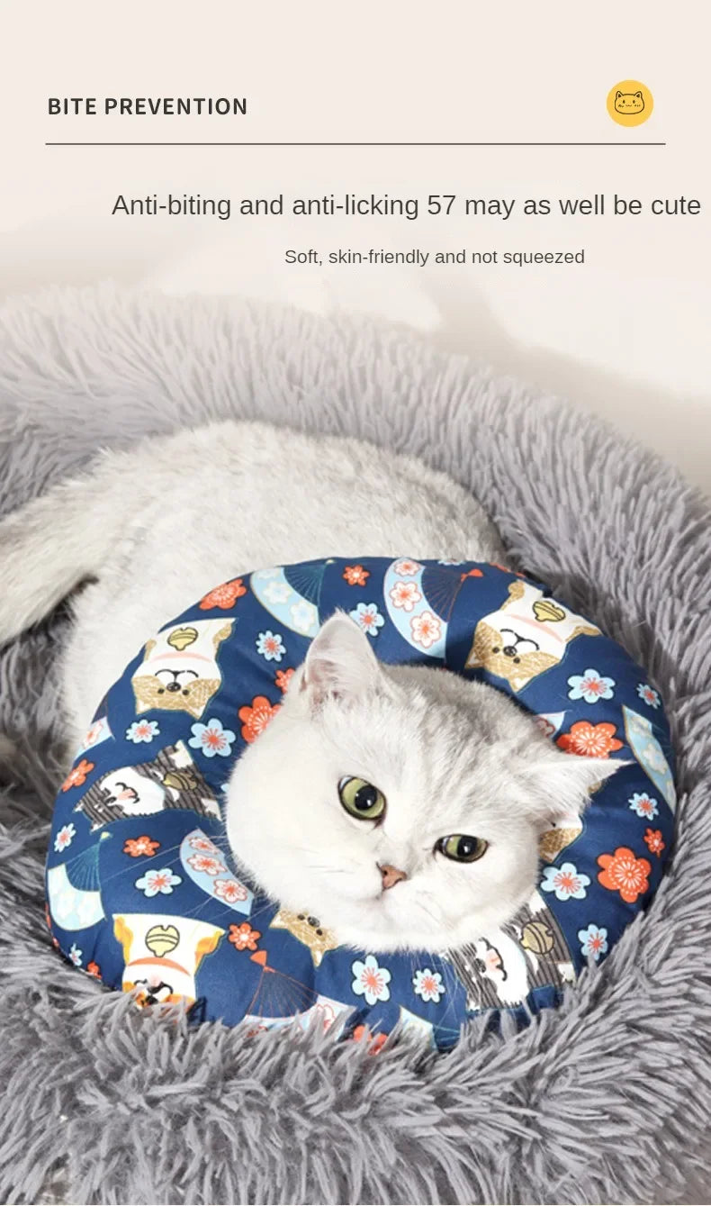 A white cat is resting inside a blue patterned anti-biting and anti-licking cone collar on a gray fuzzy surface.