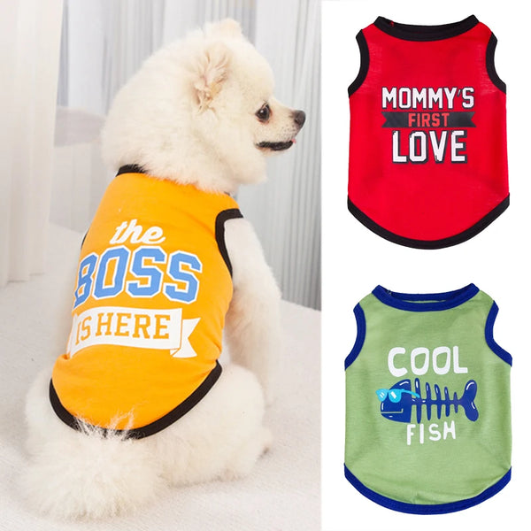 A white dog wearing an orange vest with blue lettering and a green vest with teal fish print.