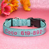 Personalisierte bestickte Nylon-Hundehalsband