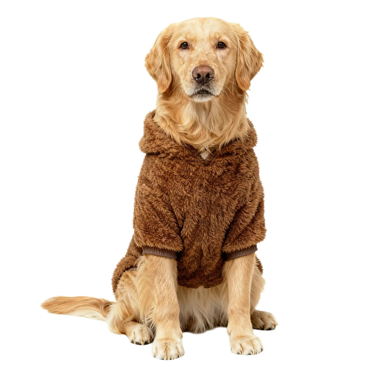 Un golden retriever portant un manteau d'hiver en polaire brun, assis pour un portrait.