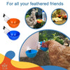 Automatic Chicken Waterer Cups - 4 Pack