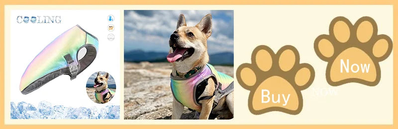 Cooling Dog Vest with Breathable Mesh