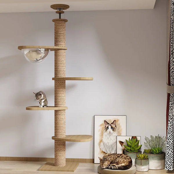 Arbre à chat de sol au plafond avec hamac