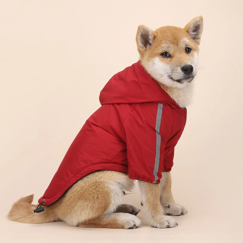 Abrigo impermeable con capucha para perro