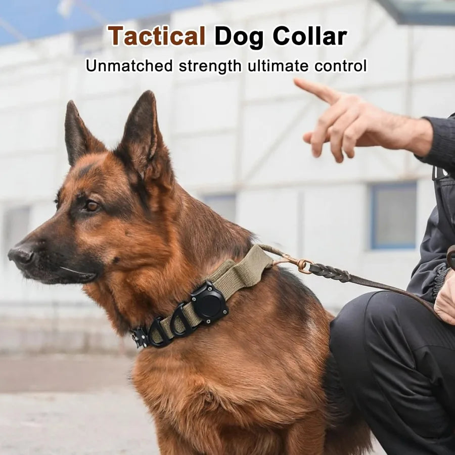 A brown German Shepherd wearing a tactical dog collar with a control handle and airtag holder.