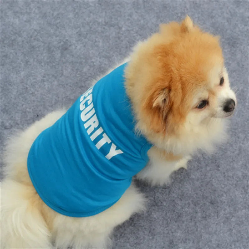 Ein flauschiger orange-weißer Hund in einer blauen Sicherheitsweste, der nach rechts schaut.