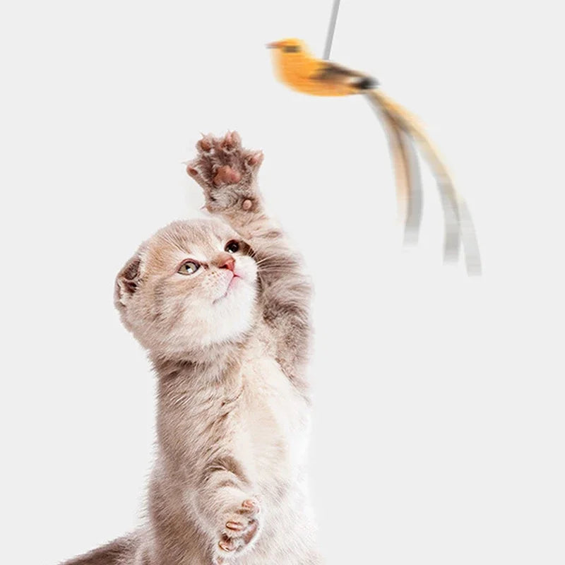 Ein flauschiges graues Kätzchen blickt auf ein gelbes Vogelfedertor-Spielzeug.