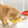 Ceramic Mushroom Cat Bowl with Raised Edge