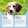 Kit de soins dentaires pour chiens et chats