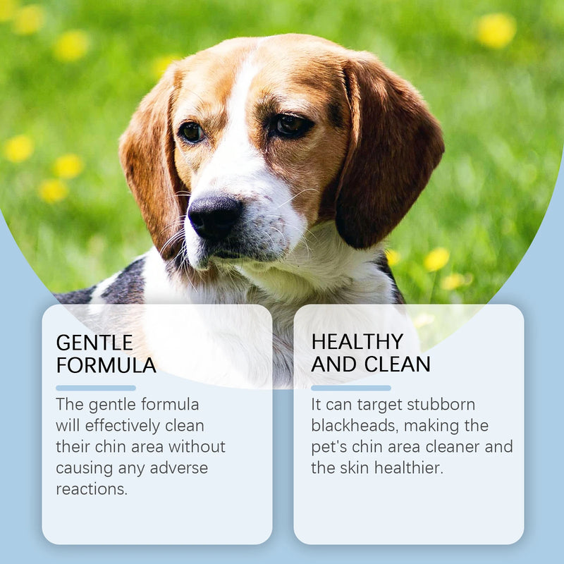 Kit de soins dentaires pour chiens et chats