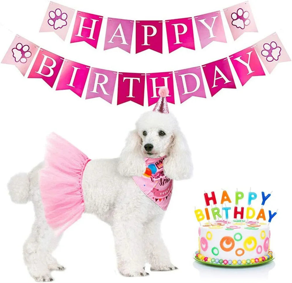 A white poodle wearing a pink tutu is shown next to a banner reading Happy Birthday