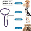 Two-in-One Pet Harness and Car Safety Belt with Reflective Leash