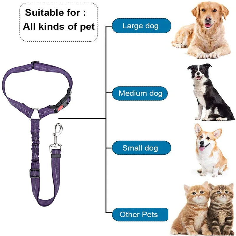Two-in-One Pet Harness and Car Safety Belt with Reflective Leash