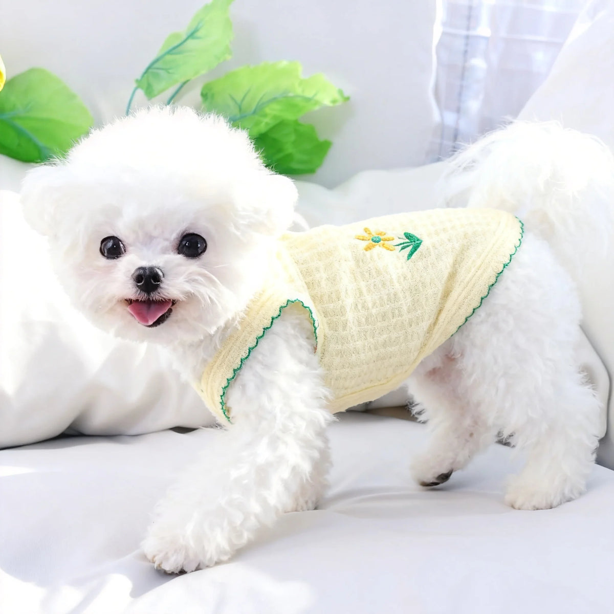 Un perro blanco esponjoso con un collar de peluche fino amarillo claro, tumbado sobre una superficie blanca.
