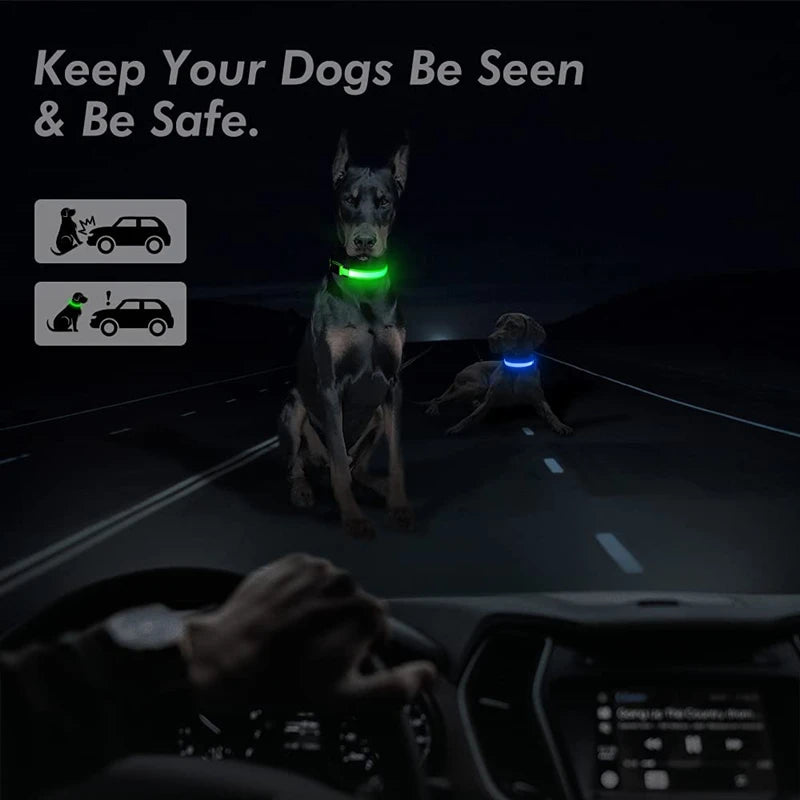 USB Charging Glowing Dog Collar with Pendant - Night Safety