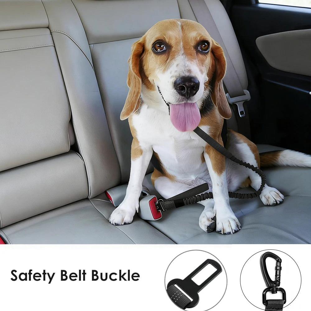 A dog sits on a car seat with a safety belt buckle and a heavy duty bungee leash visible.