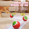 Smart Motion-Activated Cat Toy Ball