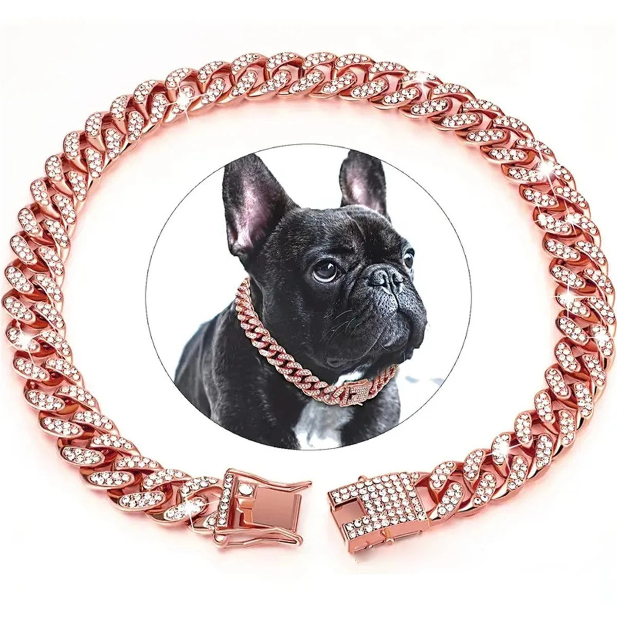 A rose gold diamond Cuban chain pet collar for dogs and cats, featuring a dog wearing it.