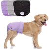 Reusable Female Dog Diapers with Leakproof Protection