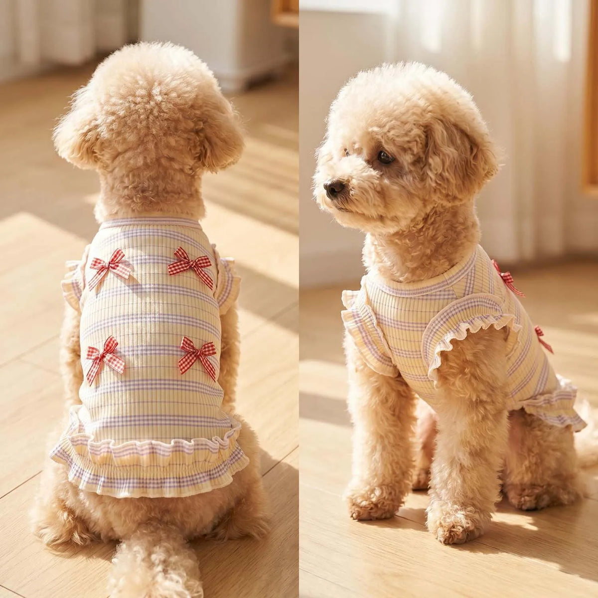 Striped Mesh Dog Outfit with Bow and Ruffles for Small to Medium Breeds