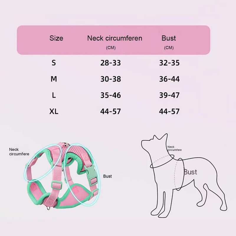 Harnais et Laisse Anti-Évasion pour Chat