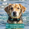 Remote Dog Training Collar with Vibration and Static Stimulation