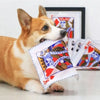 An orange and white dog holding a tear-resistant squeaky newspaper toy featuring a heart design.