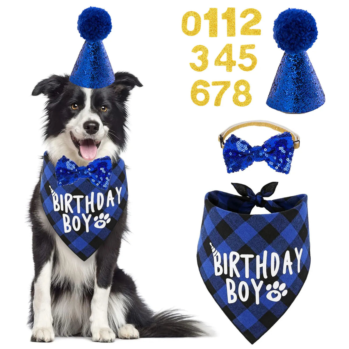 A black and white dog wearing a blue party hat, with matching blue bow tie and bandana accessories.