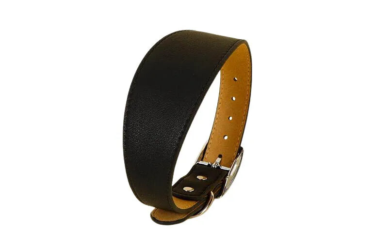 Wide Leather Dog Collar for Long-Necked Breeds