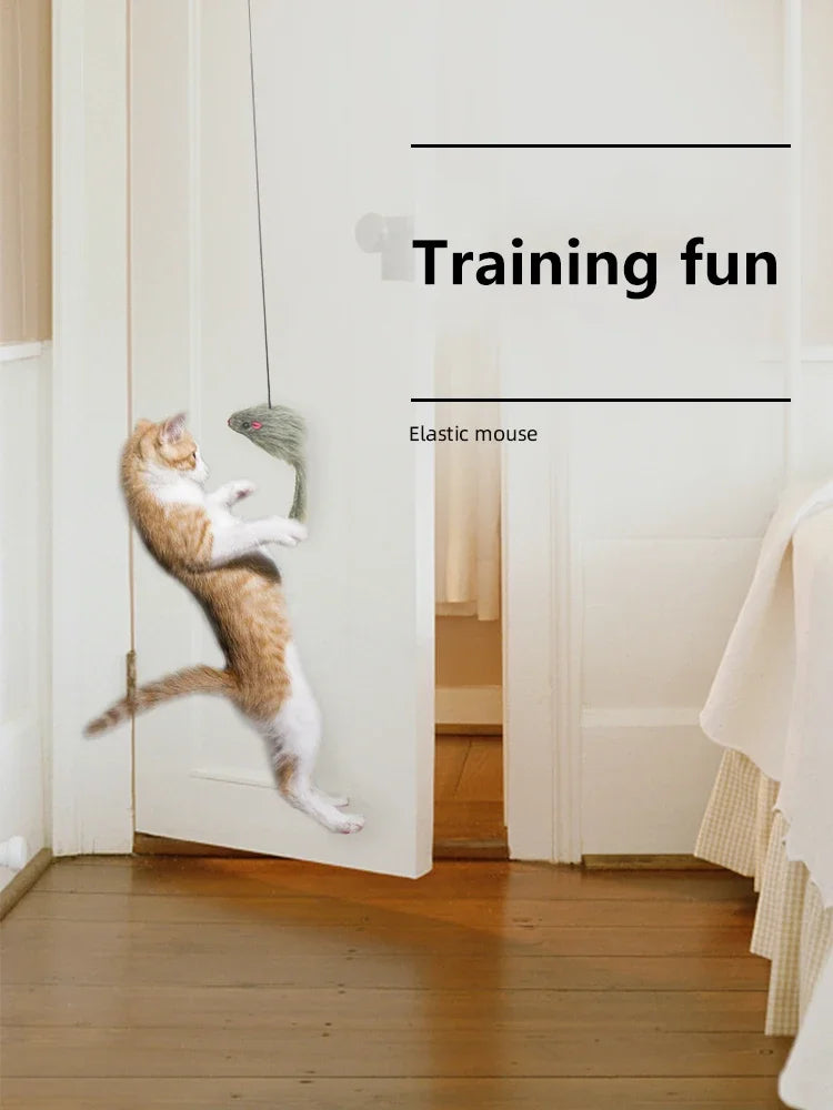 Eine Katze spielt mit einer elastischen Maus, die an einem weißen Türrahmen hängt.
